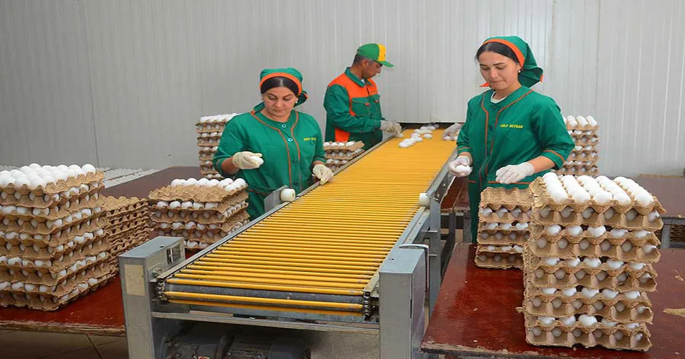 In Lebap wurde ein neuer Geflügelproduktionskomplex in Betrieb genommen